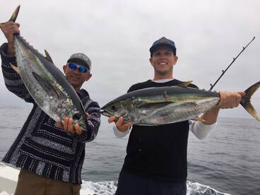 Dana Point Report Photo 1