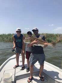 Venice Report Photo 1