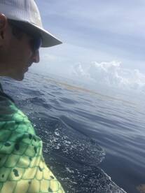 West Palm Beach Verslag Foto 2