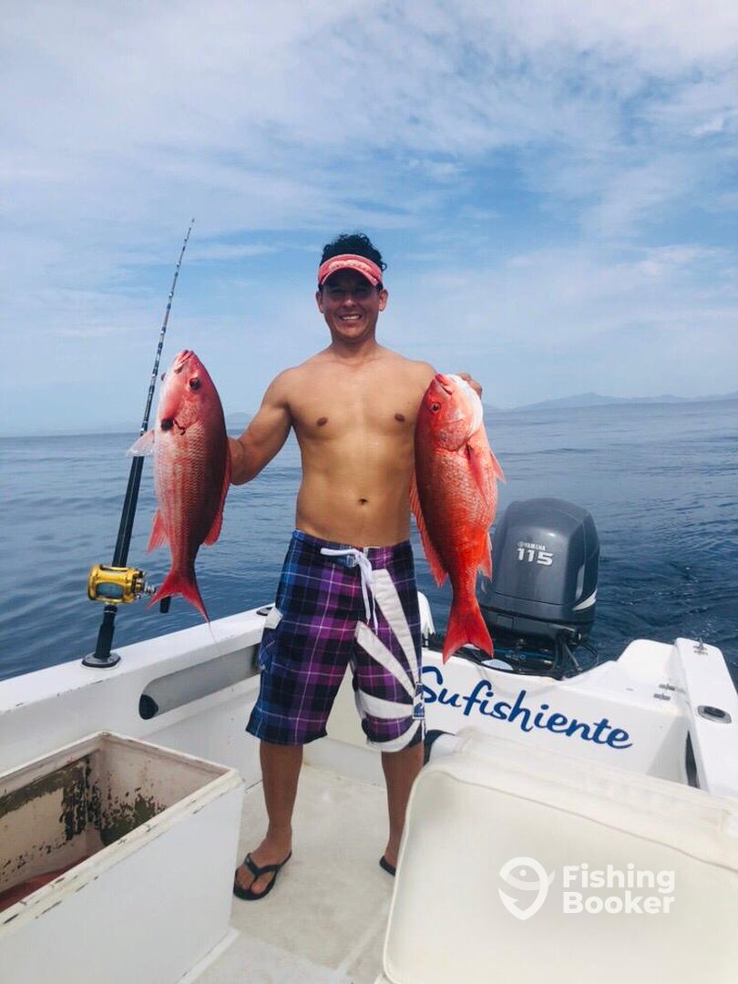 San Jose del Cabo Report Photo 0