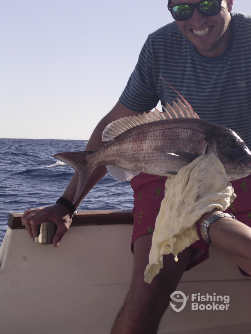 Great Day Mixed fishing on 