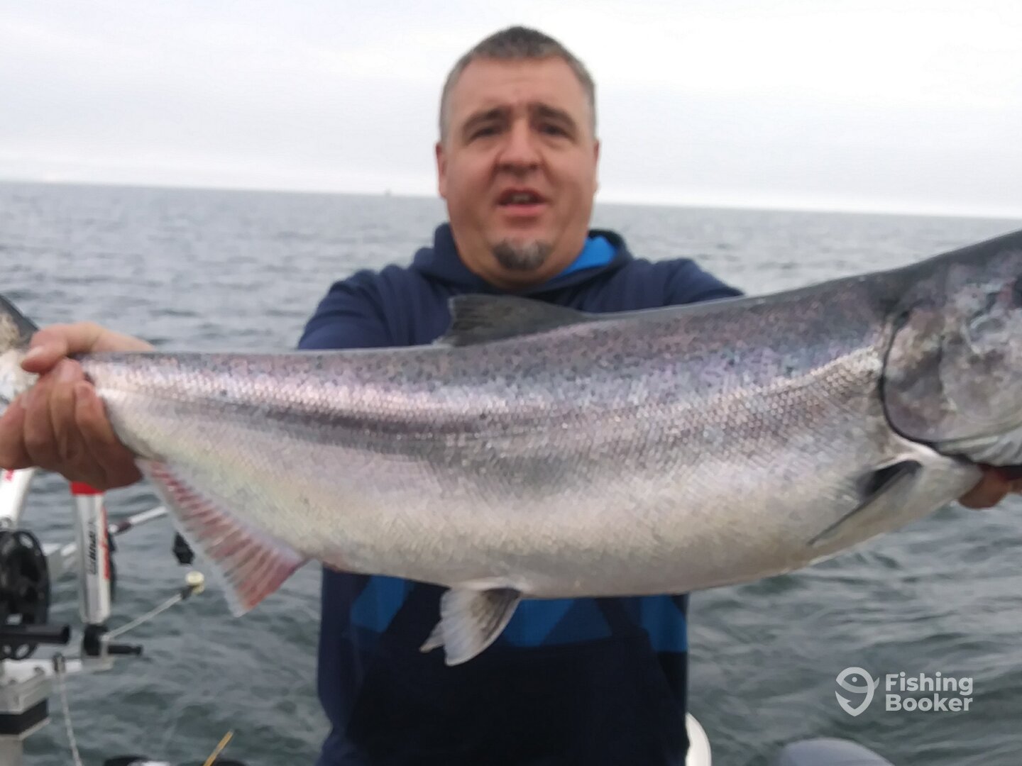 Frankfort Report Photo 0