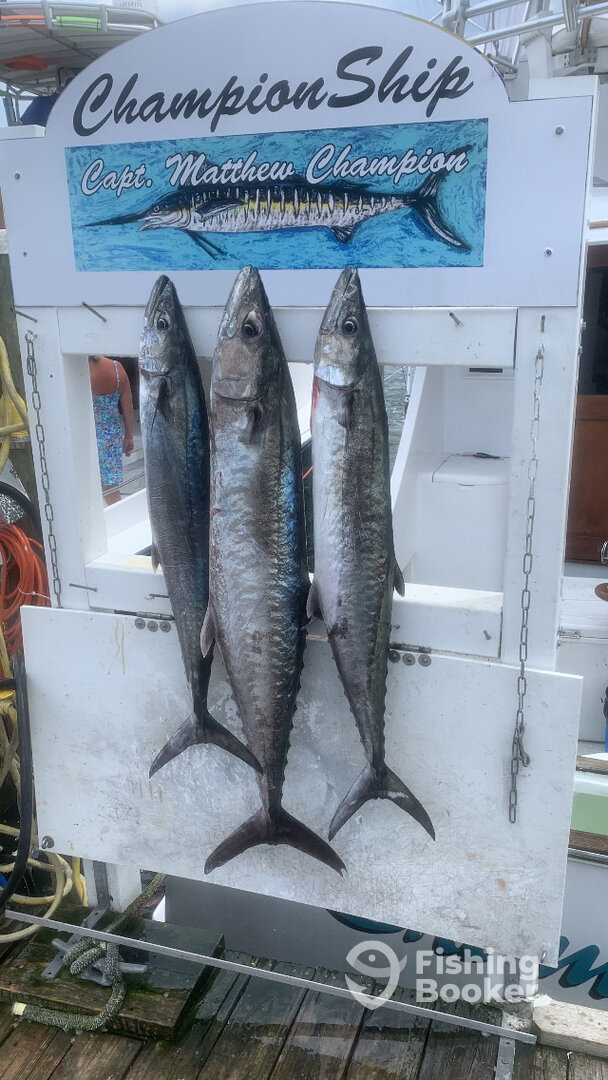 Destin Report Photo 0