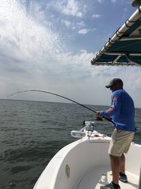 Hooked up with a huge Jack Crevalle.