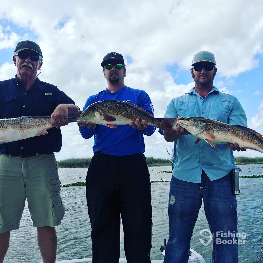 Houma Report Photo 0