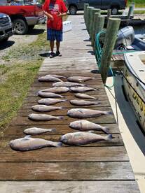 Great Tilefish Trips This Week