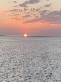 The fish are “ON” today in West Galvesto