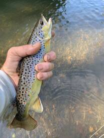 The Elk River was on fire today July 13t