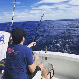 Sandys Report Photo 2