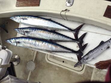 2 friends fishing early morning