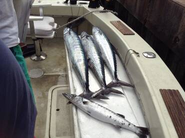 Bridgetown Report Photo 1