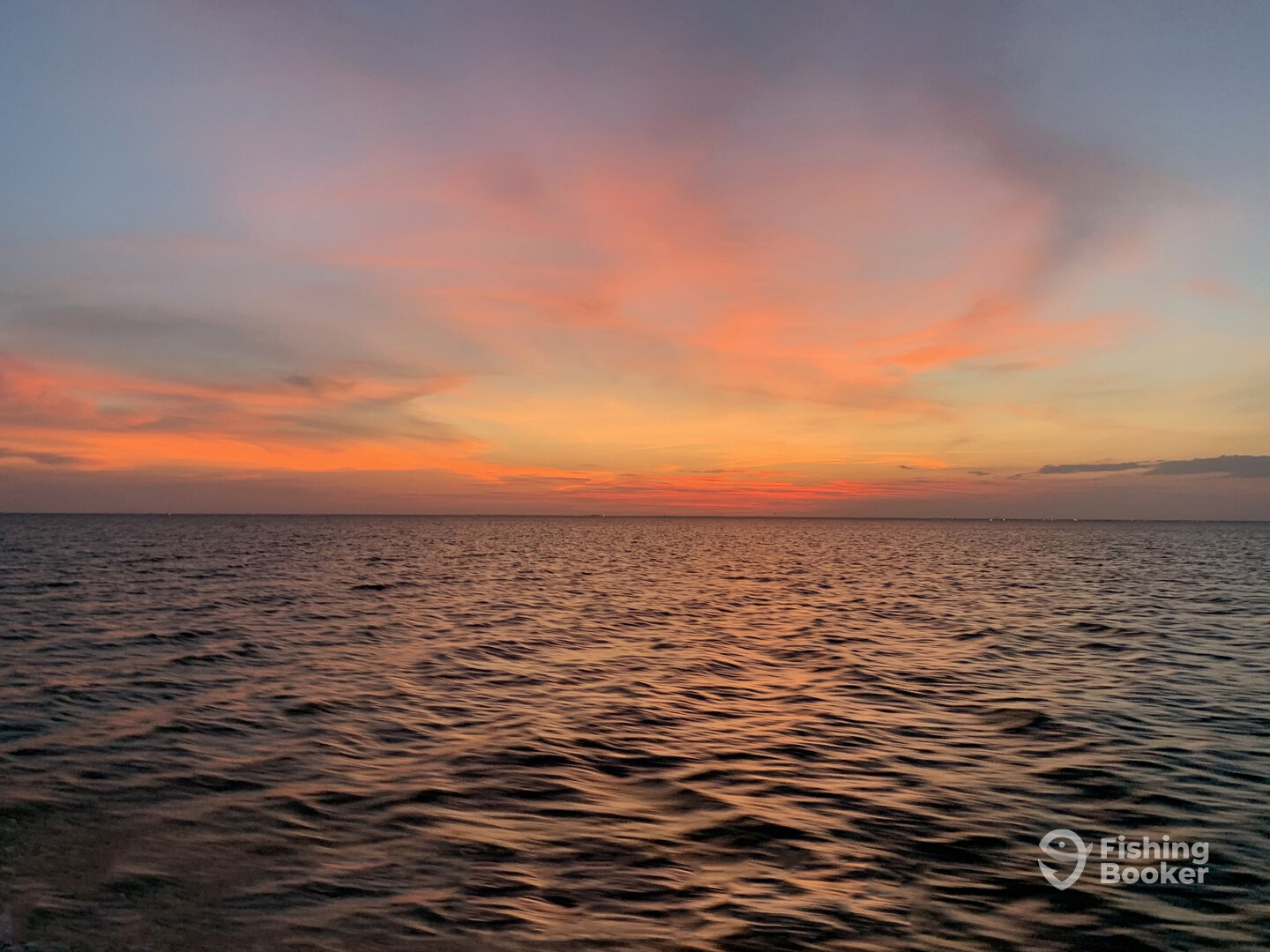 Aransas Pass Report Photo 0