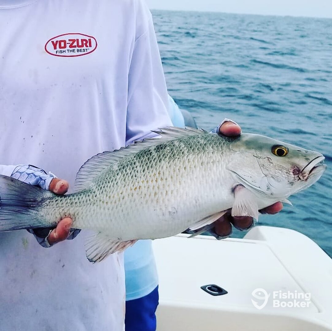 Islamorada Report Photo 0