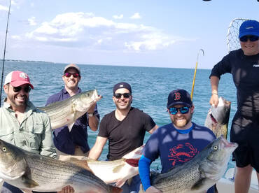 Boston Report Photo 1