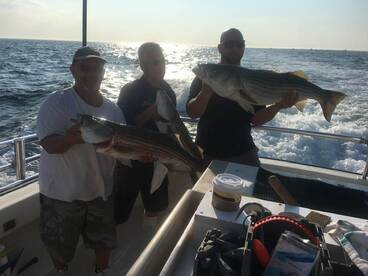 Montauk Report Photo 1