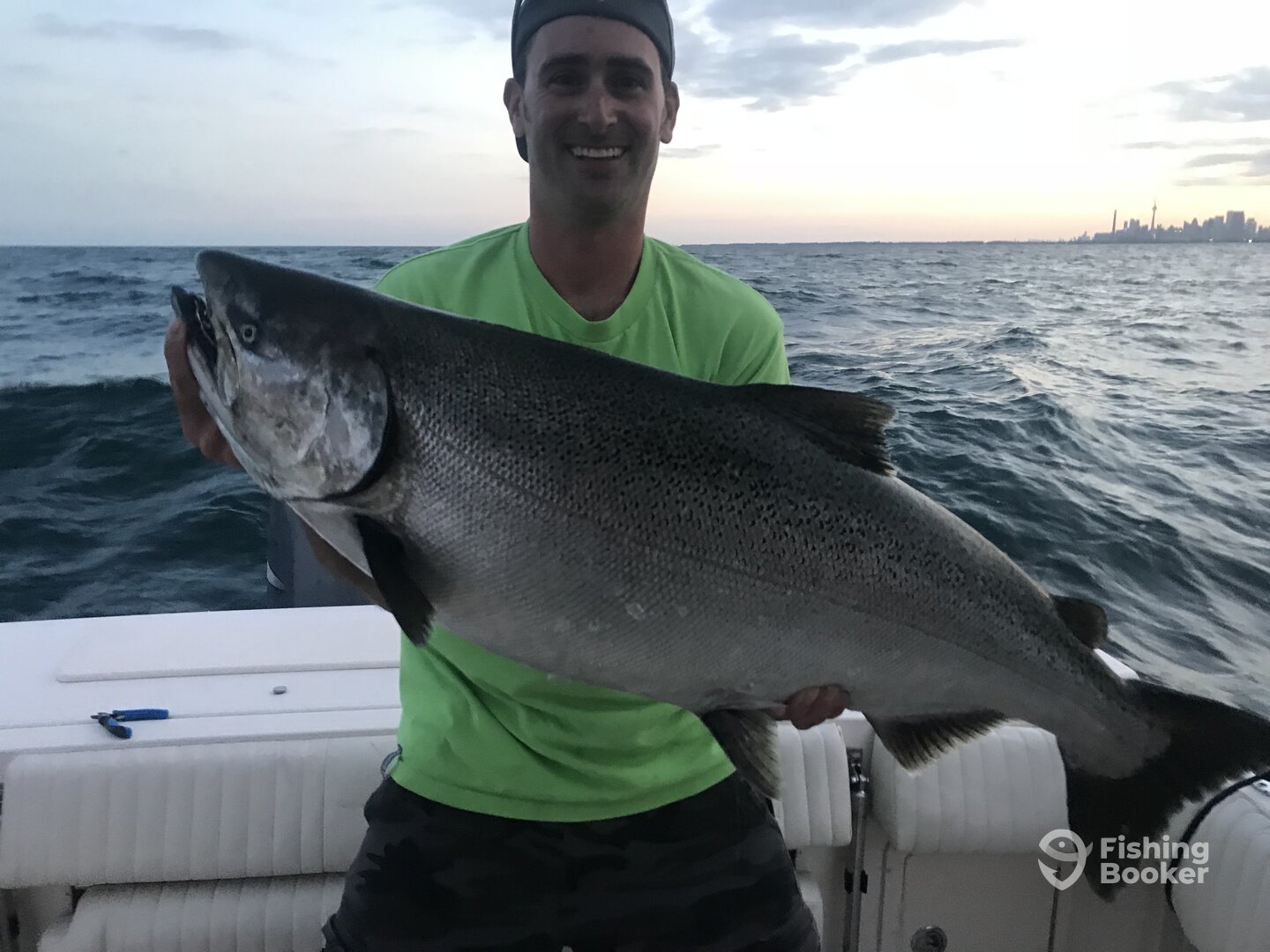 Toronto Report Photo 0