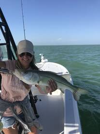 Marco Island Report Photo 2