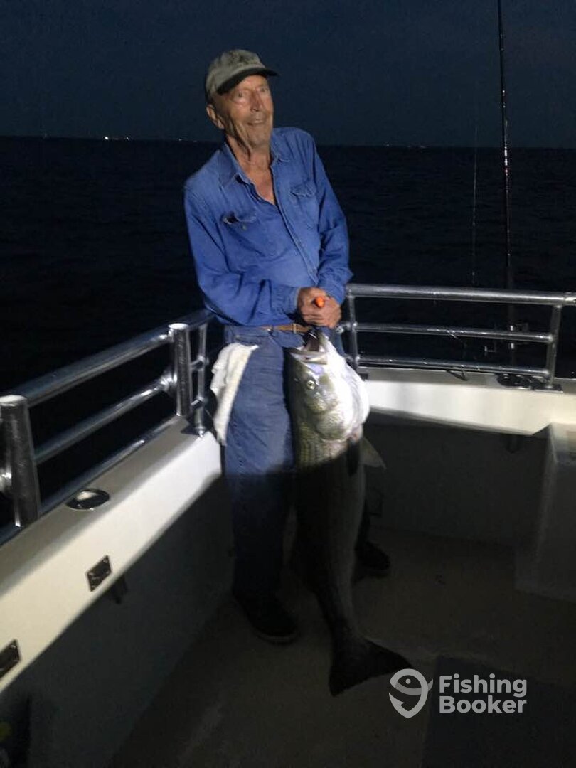 Montauk Report Photo 0