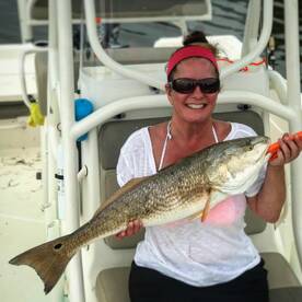SNAPPER AND REDFISH BITE IS REDHOT
