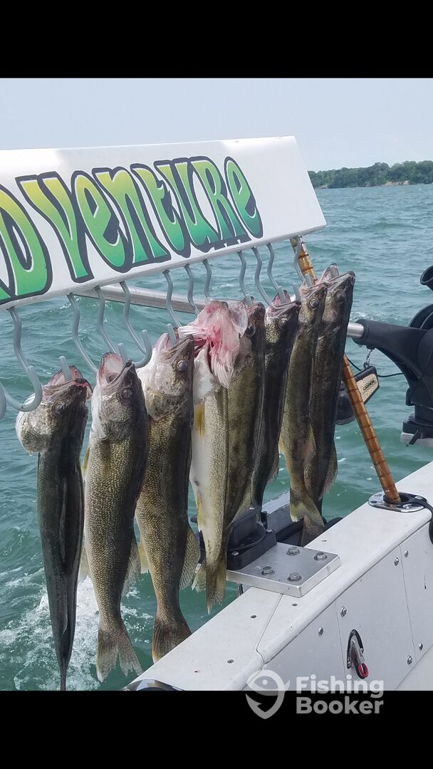 Ashtabula Report Photo 0