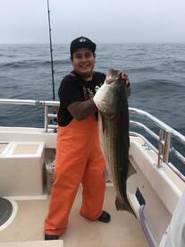 Montauk Report Photo 2