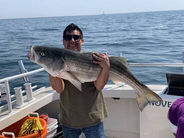 Montauk Report Photo 2