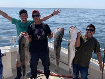 Montauk Report Photo 1