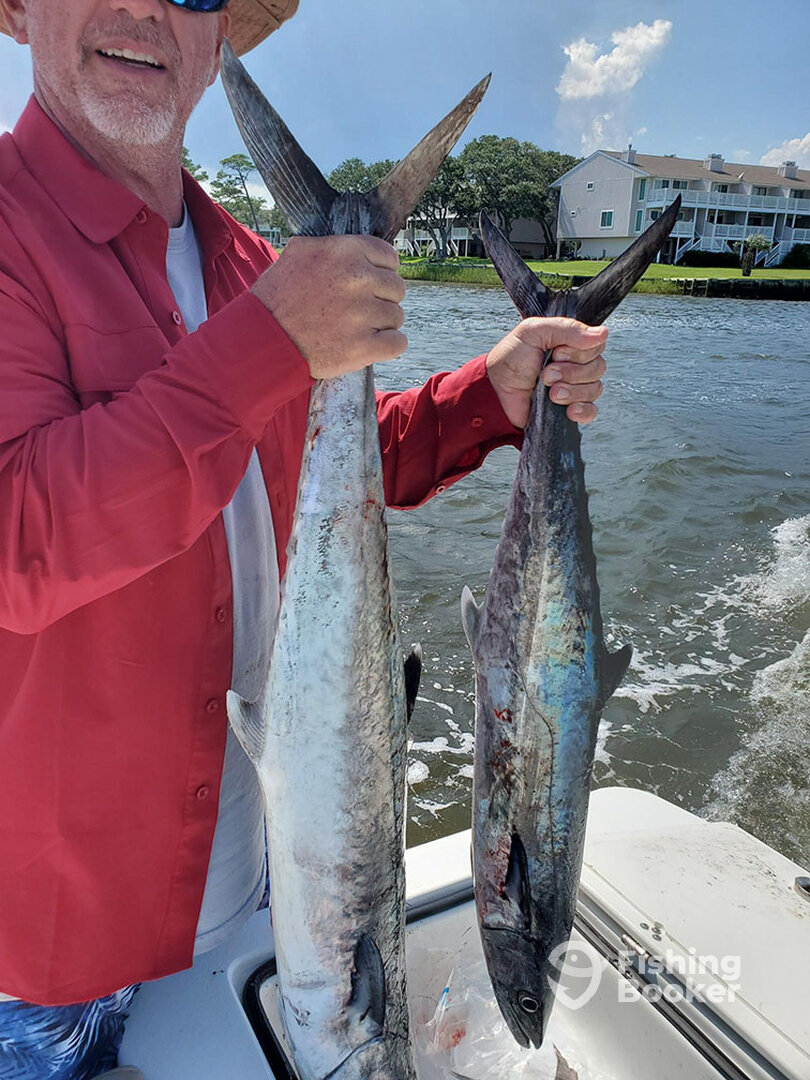 Hampstead Report Photo 0