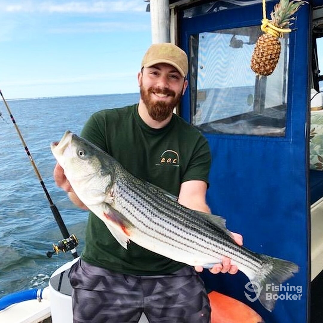 Newburyport Report Photo 0