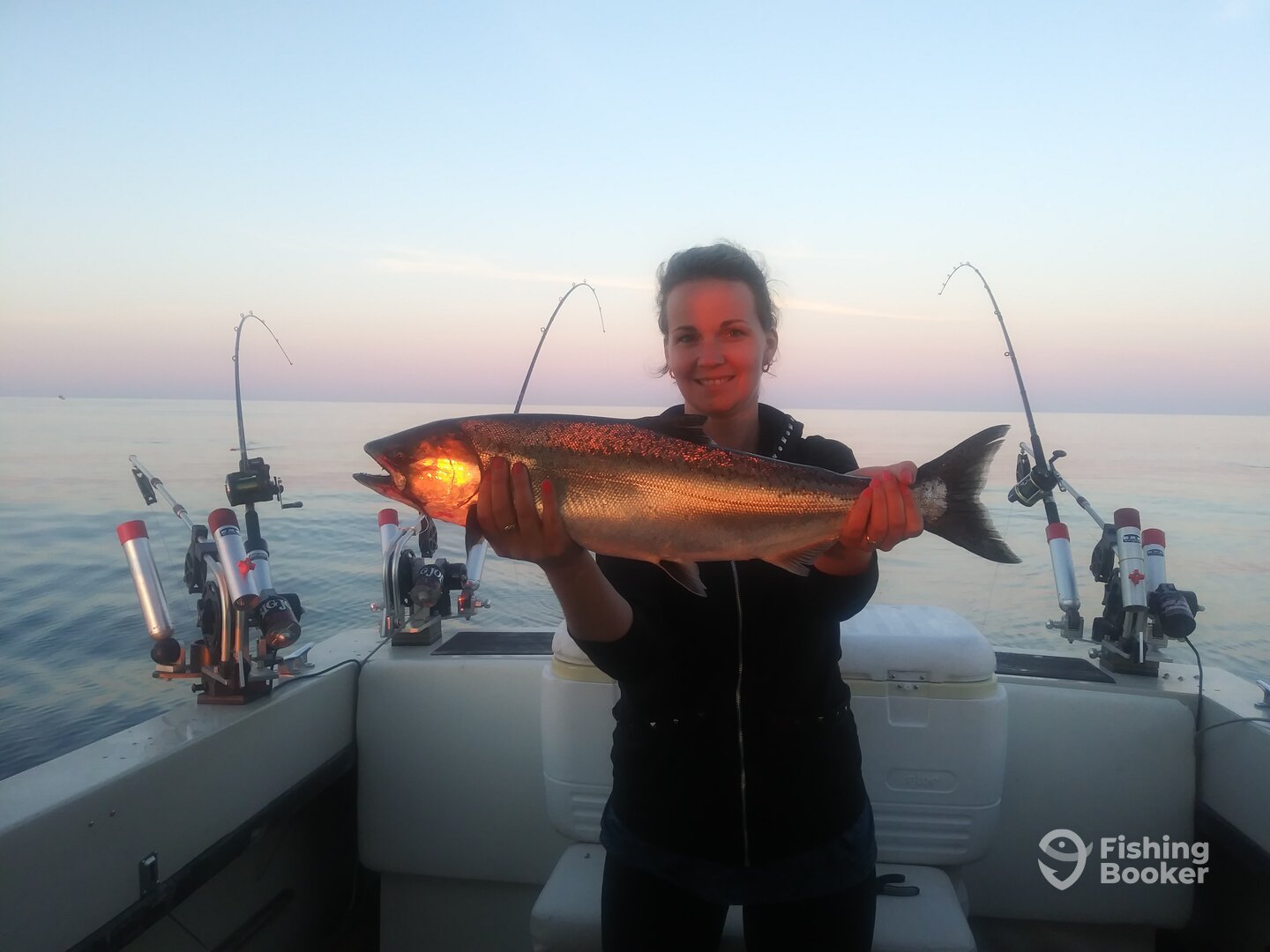 Frankfort Report Photo 0