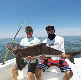 Banner cobia fishing continues 