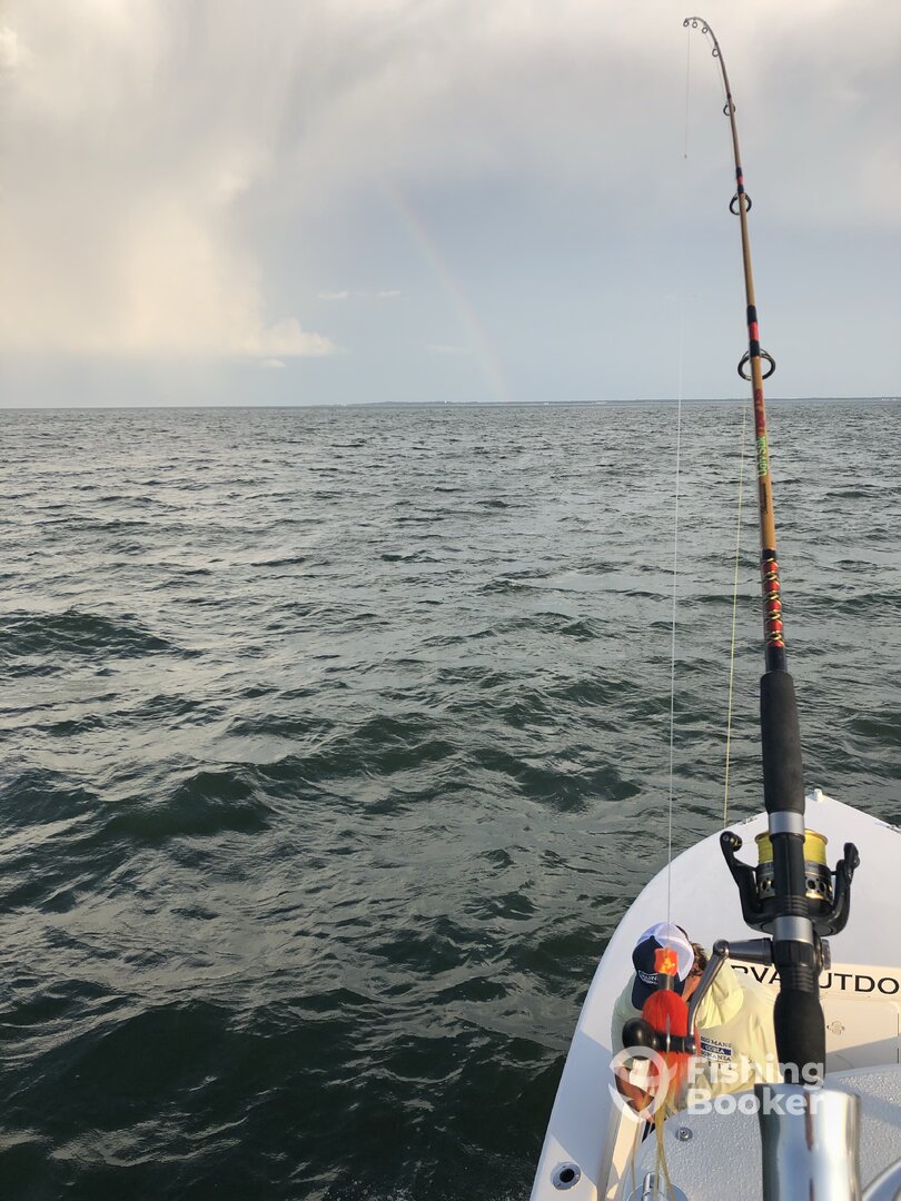 Norfolk Report Photo 0