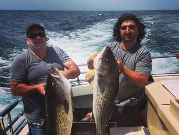 Montauk Report Photo 1