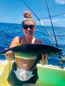 Yellow fin tuna + mahi mahi + wuaoo