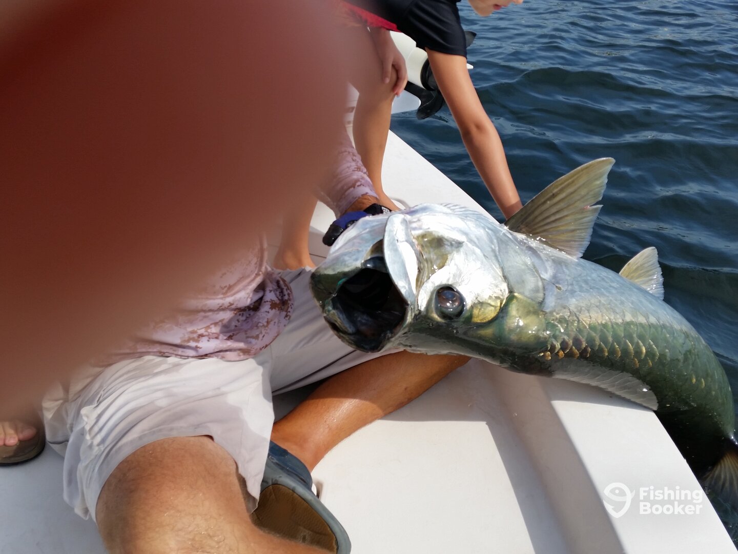 Clearwater Report Photo 0