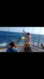 Wanchese Report Photo 1