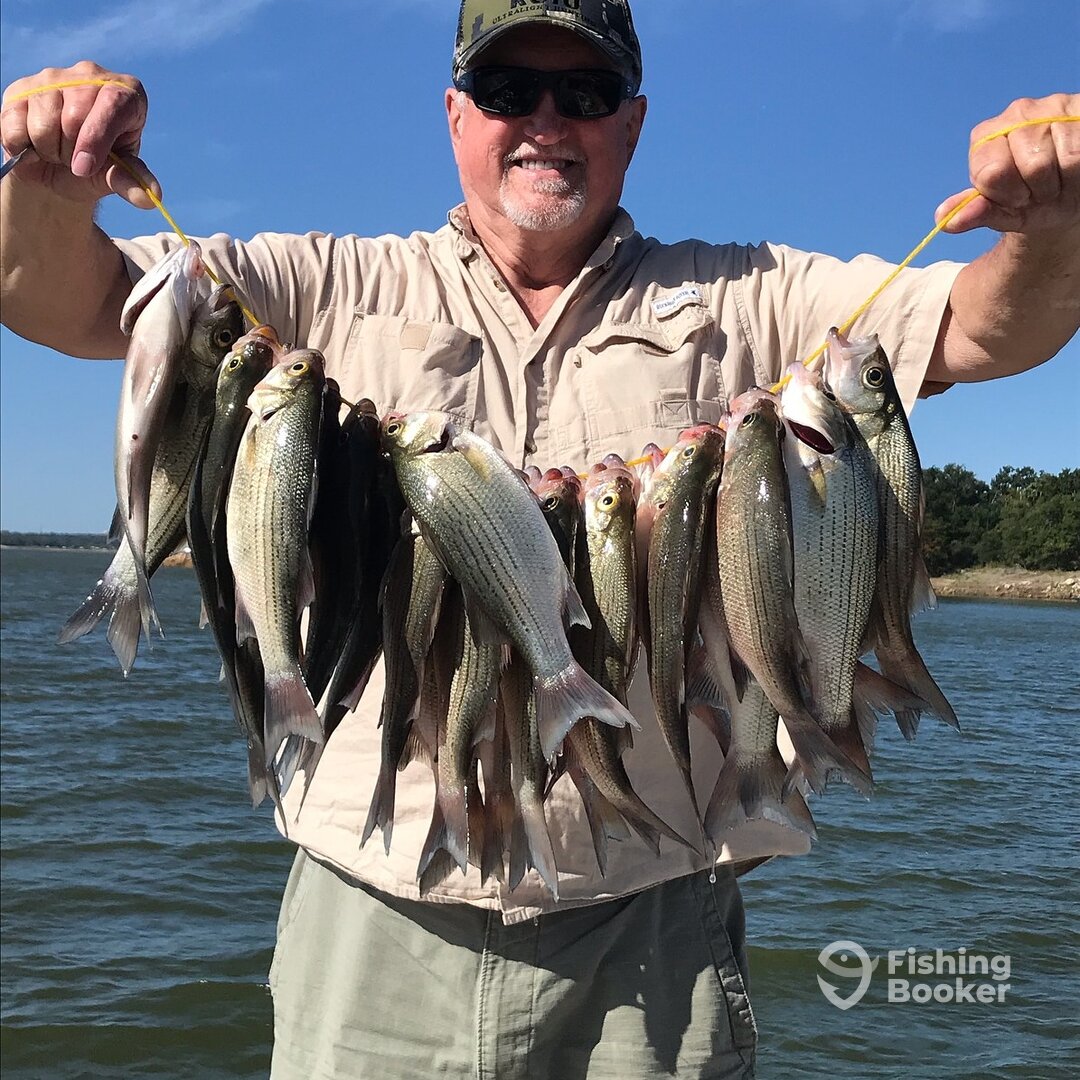 Grapevine Report Photo 0