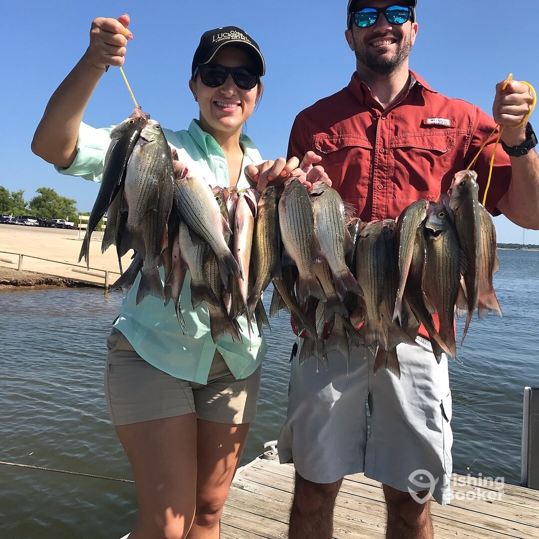 Grapevine Report Photo 0