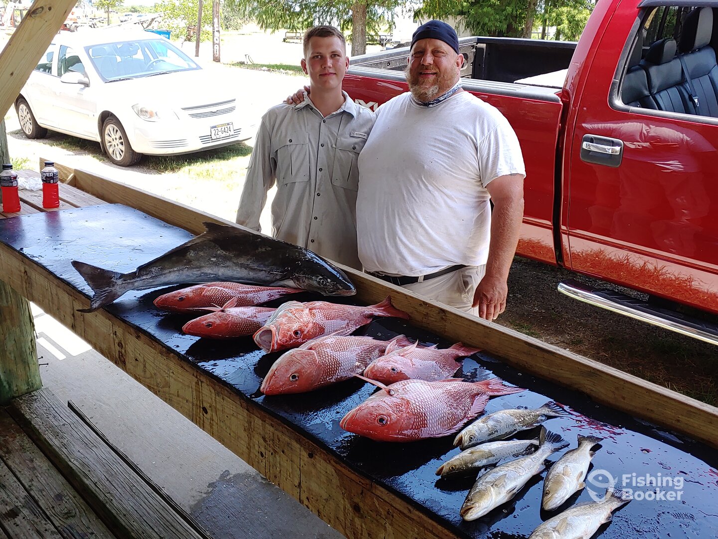 St. Bernard Report Photo 0