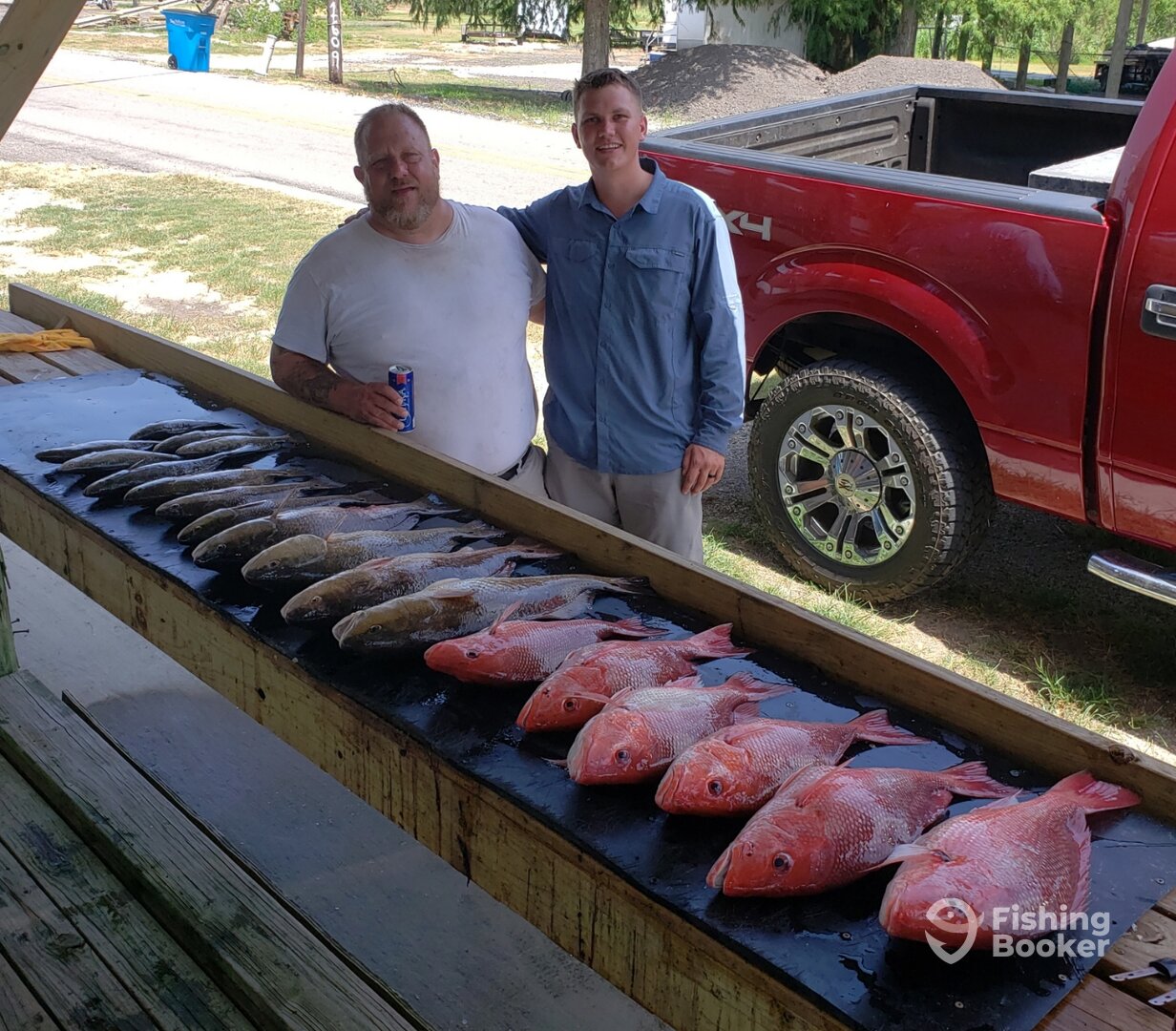 St. Bernard Report Photo 0