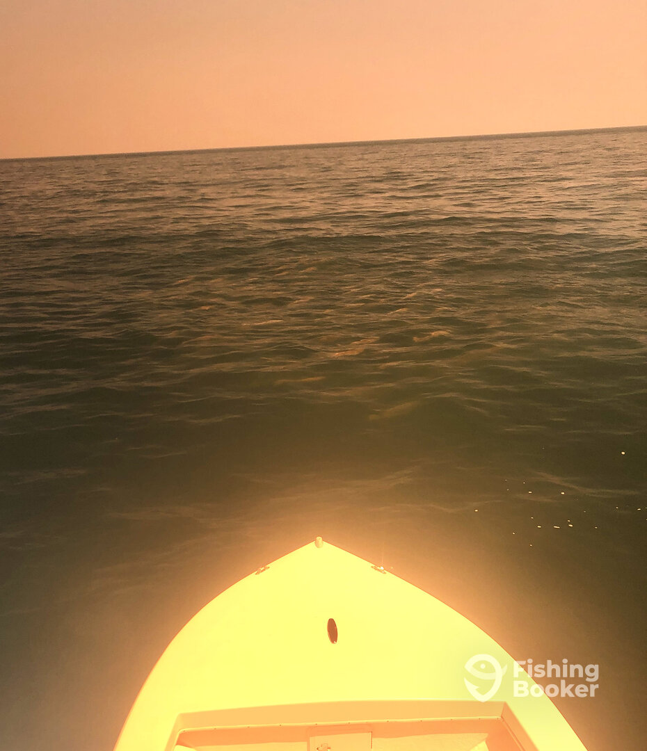 Norfolk Report Photo 0