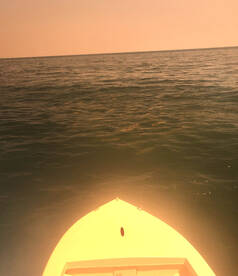 Cobia limit and citation red drum!!