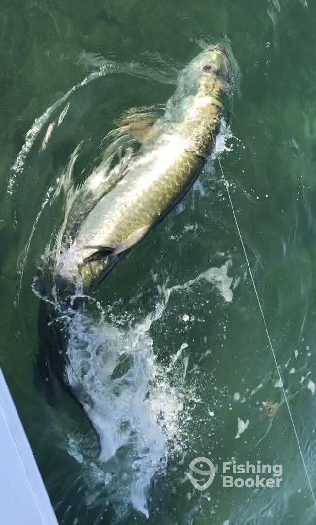 Islamorada Report Photo 0