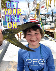 Islamorada Report Photo 1