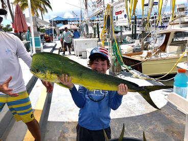 Nice rack of Mahi