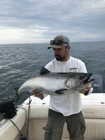 Toronto Report Photo 1