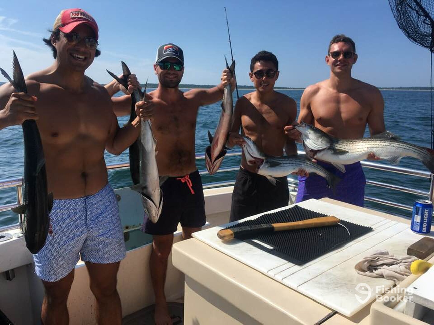 Montauk Report Photo 0