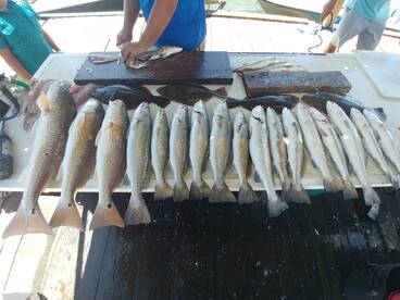 Texas City Report Photo 2