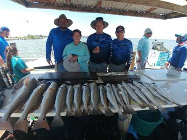 Texas City Report Photo 1