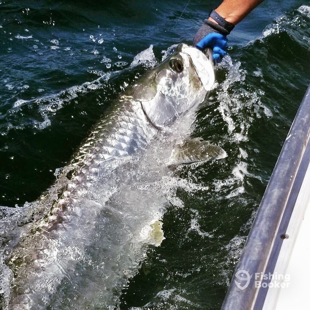 Destin Report Photo 0